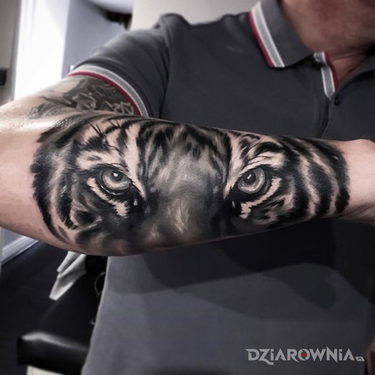 Tatuaż oczy tygrysa - zwierzęta