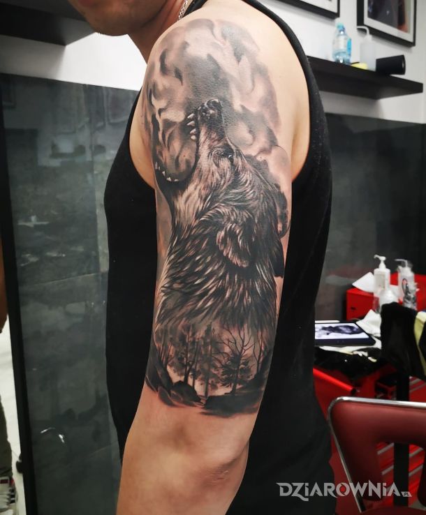 Tatuaż wilk - zwierzęta