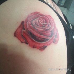 1-go Maja 8a  tel 534215004 www.facebook.com/studioshadowzone