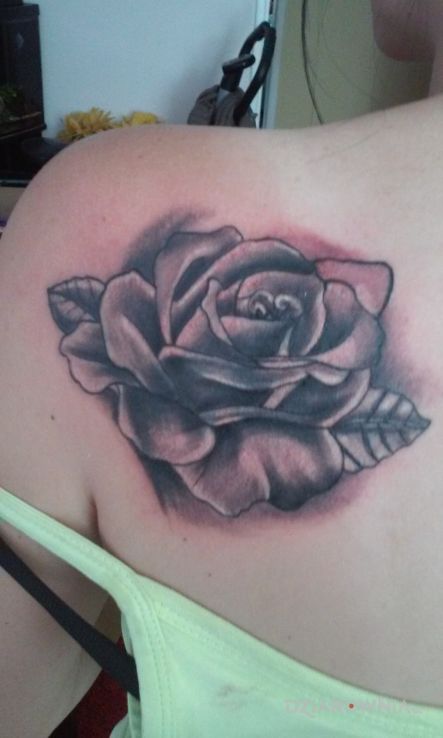 Tatuaż róża  cover - kwiaty