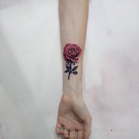 Róża (cover napisu)