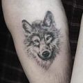 Wycena tatuażu - Średni tatuaż na przedramieniu - wilk