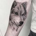 Wycena tatuażu - Średni tatuaż na przedramieniu - wilk