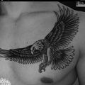 Wycena tatuażu - Wycena tatuaży - lew i feniks