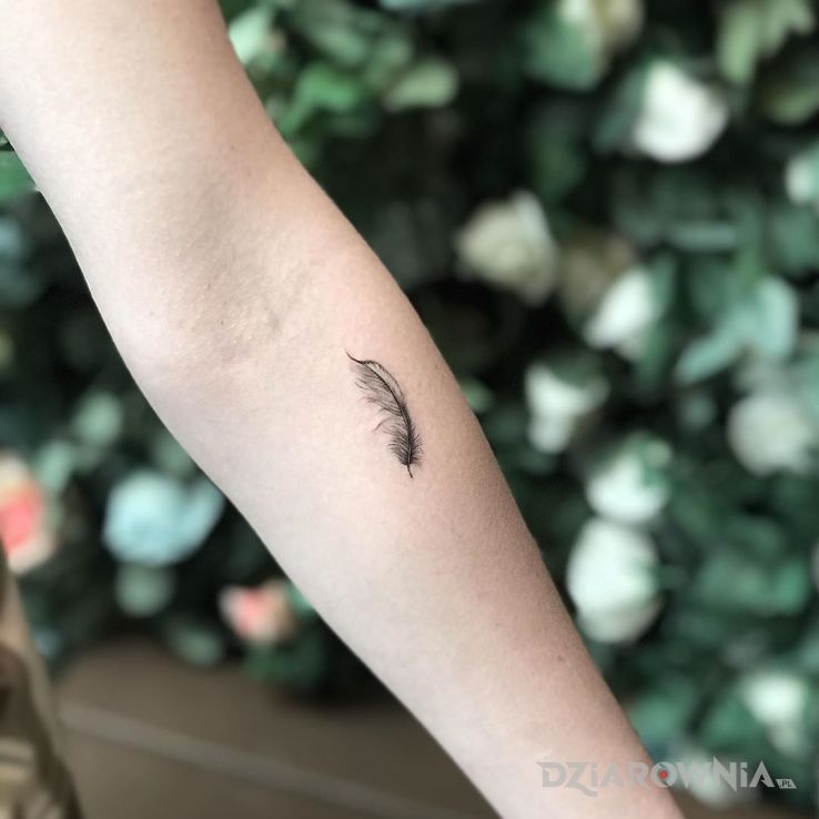 Tatuaż piorko - pozostałe