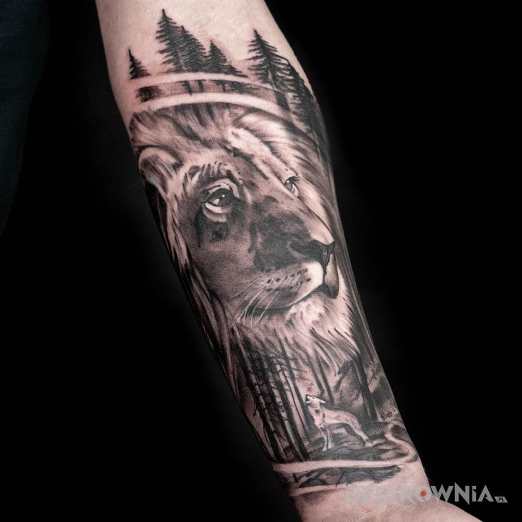 Tatuaż lew i wilk - 3D