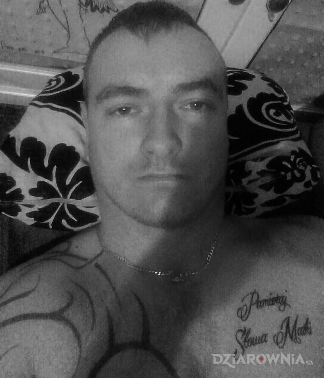 Tatuaż wszystko w trakcie realizacji  - tribale