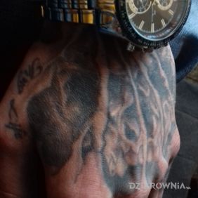 Projekt#01 czaszka.vene.thuglife.dłoń