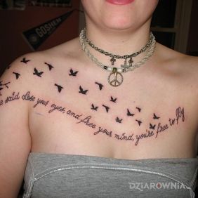 Napis i stado ptaków