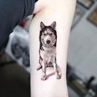 Husky