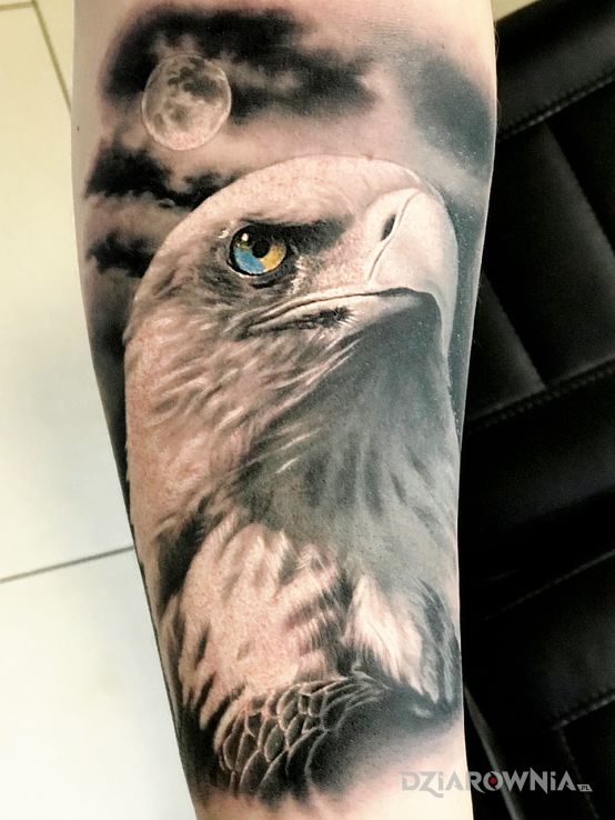 Tatuaż orzeł - realistyczne