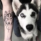 Husky
