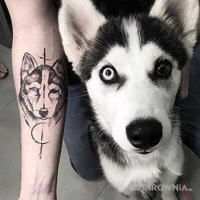 Husky
