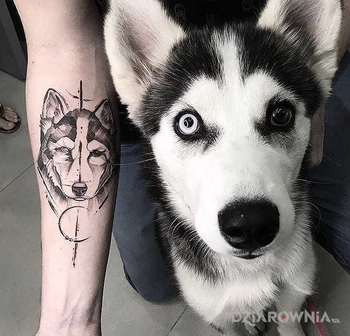 Tatuaż husky - graficzne / ilustracyjne
