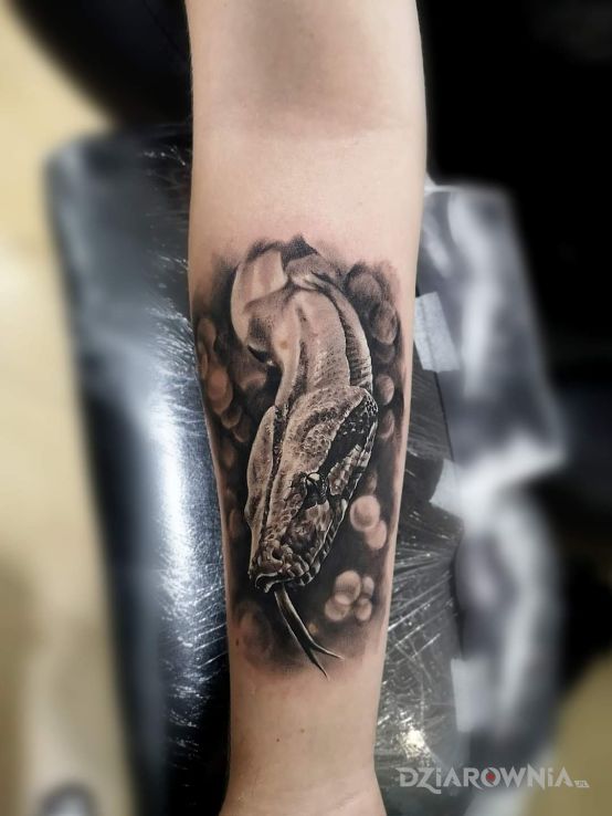 Tatuaż snakemoon - zwierzęta