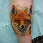 Lis / Kolorowy Realizm