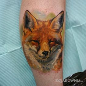 Lis / Kolorowy Realizm