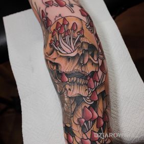 Czaszka / Grzyby / Neotraditional