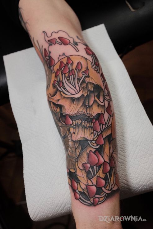 Tatuaż czaszka  grzyby  neotraditional - neotradycyjne