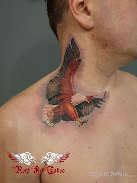 Tatuaż orzeł - kolorowe