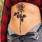 Róża zakrywająca bliznę