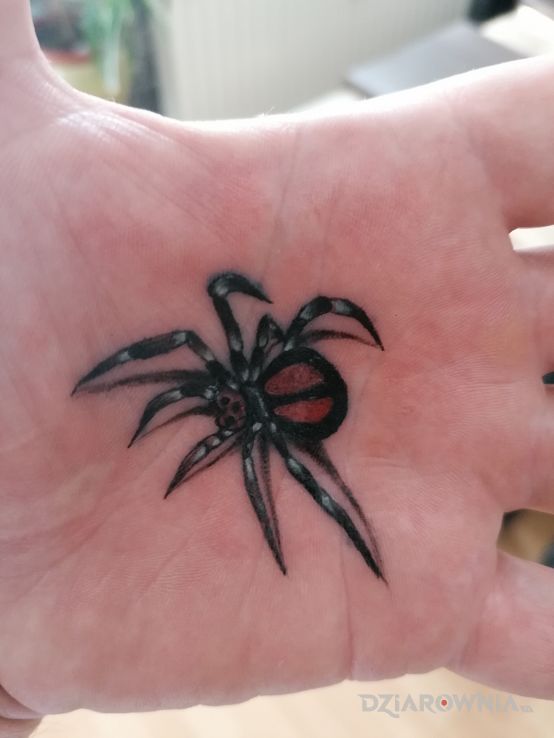 Tatuaż pajączek - pozostałe