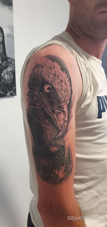 Tatuaż orzeł - zwierzęta