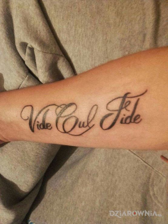 Tatuaż vide cul fide - napisy