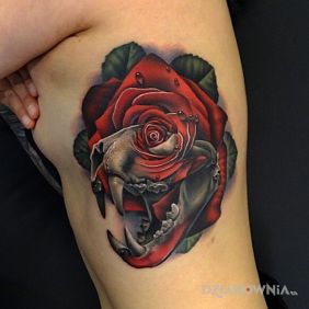 Czaszka prehistorycznego zwierza