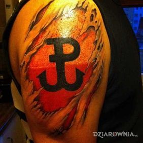 Znak Polski walczącej na tle flagi