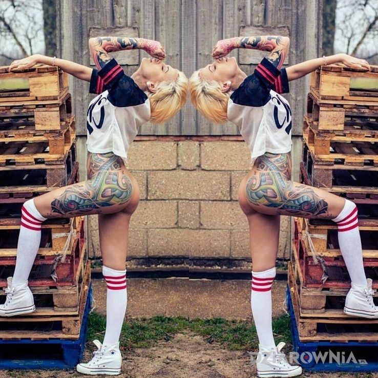 Tatuaż kolorowe szalenstwo - rękawy