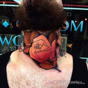 Pomarańczowa róża