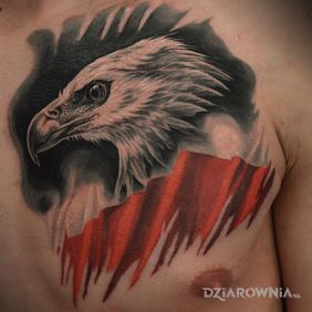 Barwy biało-czerwone