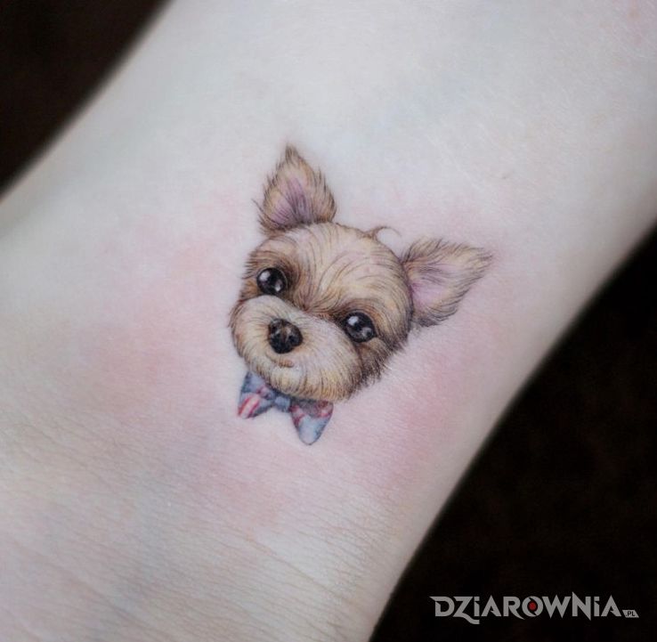 Tatuaż piesek - zwierzęta