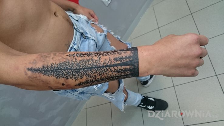Tatuaż las - rękawy