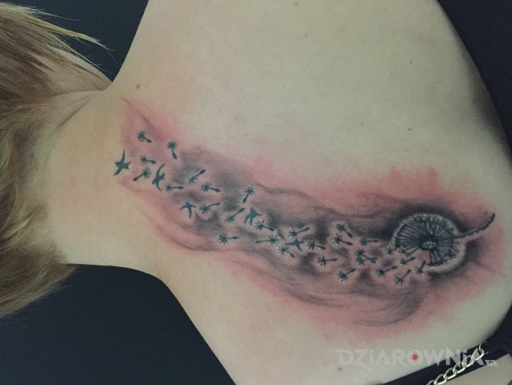 Tatuaż dmuchawce - pozostałe