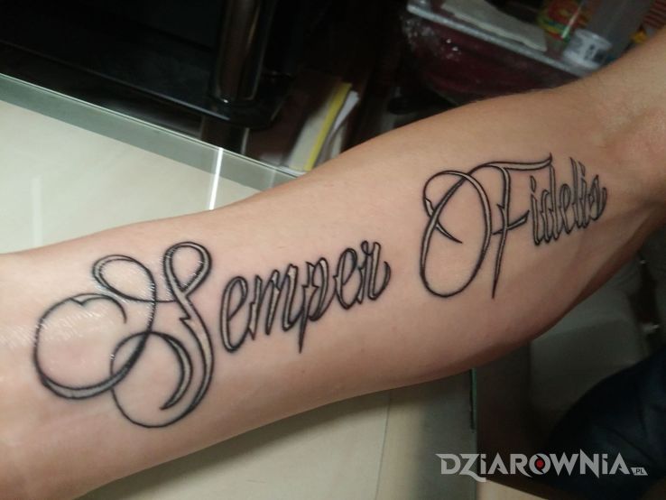 Tatuaż semper fidelis - napisy