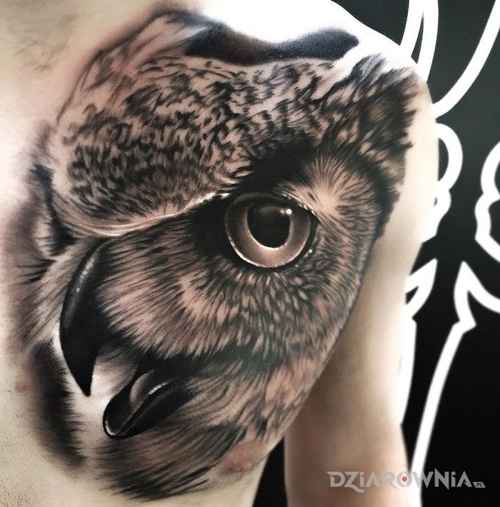 Tatuaż realistyczna sowa - zwierzęta