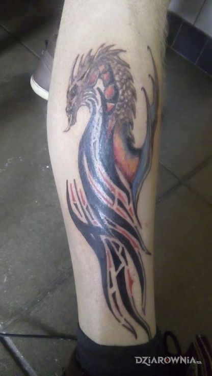Tatuaż smok - smoki