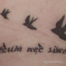 "NIC BEZ CIEBIE WSZYSTKO Z TOBĄ :)"