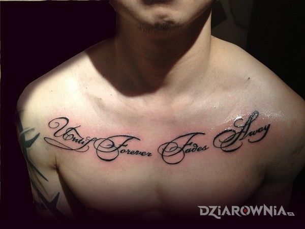 Tatuaż napis na klatce - napisy