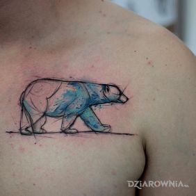 Niedźwiedź polarny