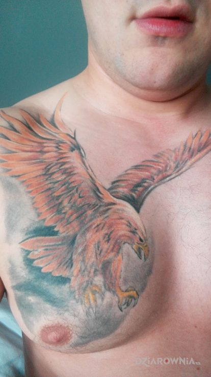 Tatuaż orzeł - zwierzęta