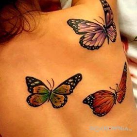 Motyle na plecach