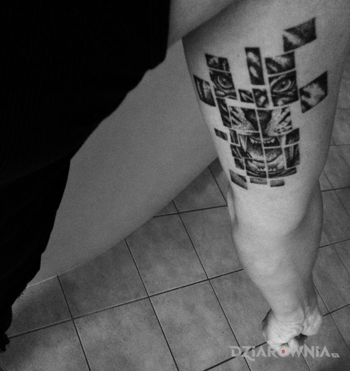 Tatuaż grafika kot by rdk radosław pagórek - zwierzęta