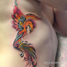 Kolorowy feniks