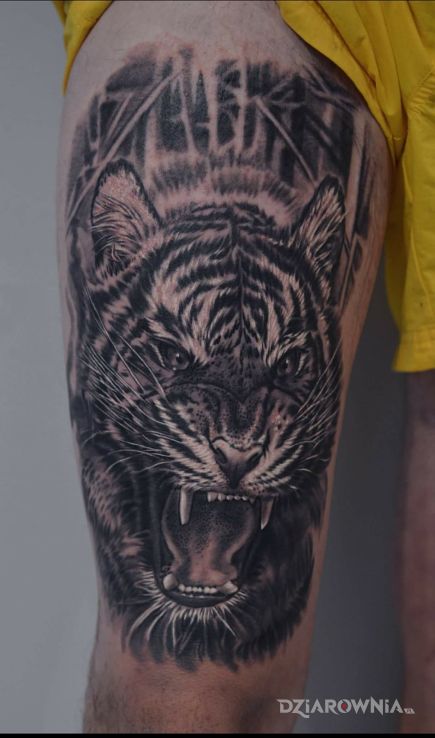 Tatuaż tygrys - zwierzęta