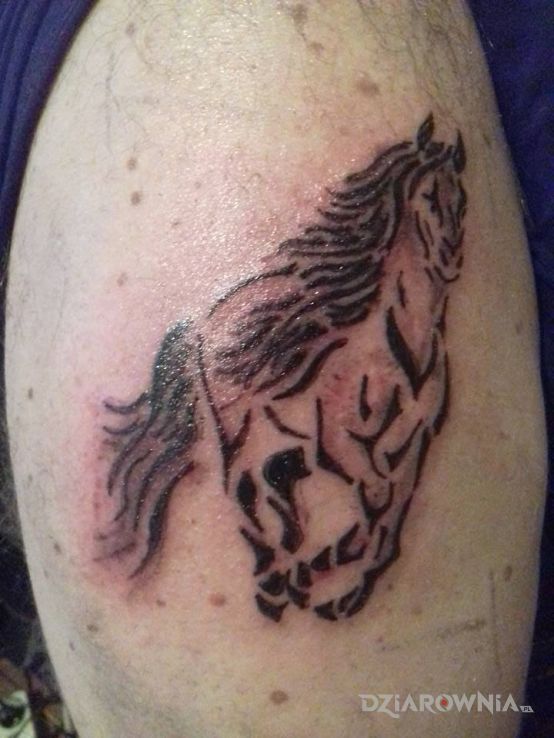 Tatuaż kon - indiańskie