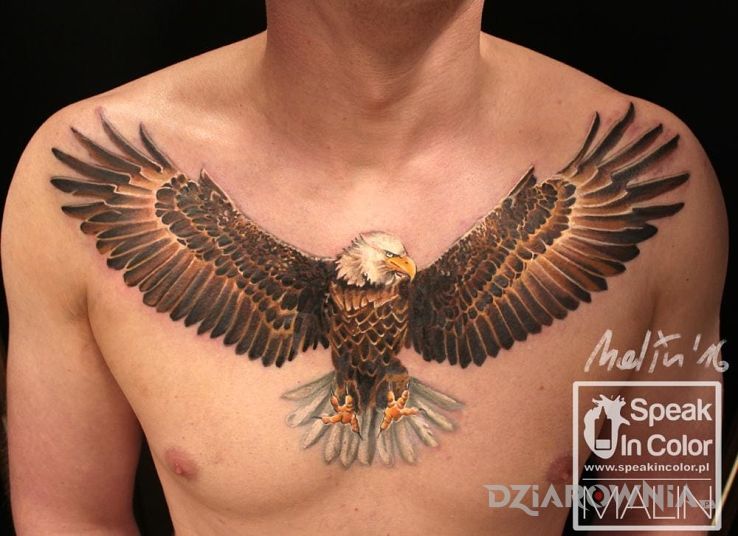 Tatuaż orzeł - zwierzęta