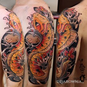 Koi